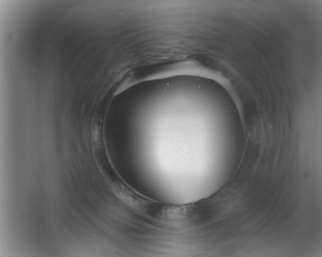 X0000068300084200604241348