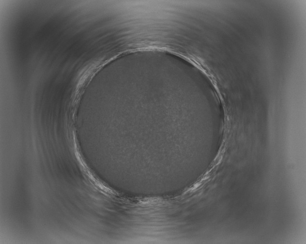 X0000068300097200604241347
