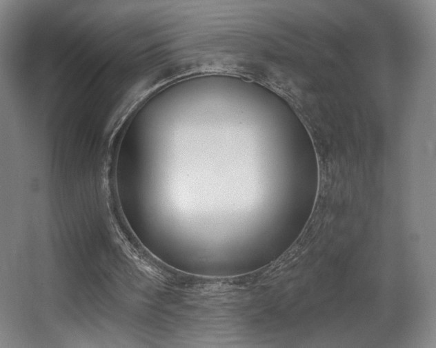 X0000068300098200604241347
