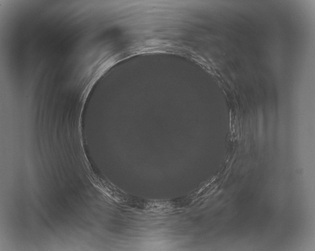 X0000068300099200604241347
