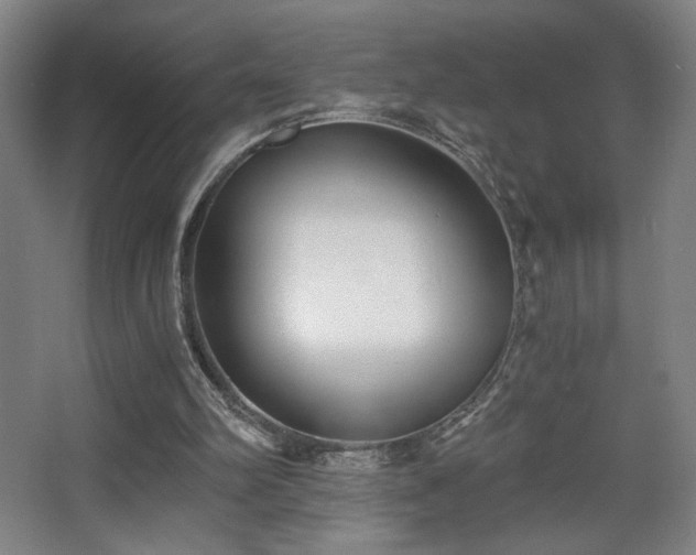 X0000068300102200604241347