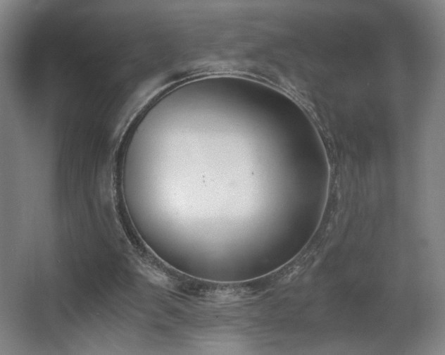 X0000068300103200604241347