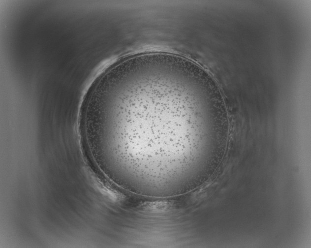 X0000068300104200604241347