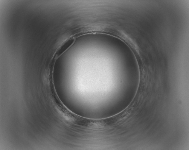 X0000068300107200604241347
