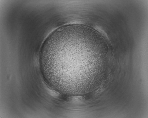 X0000068300108200604241347