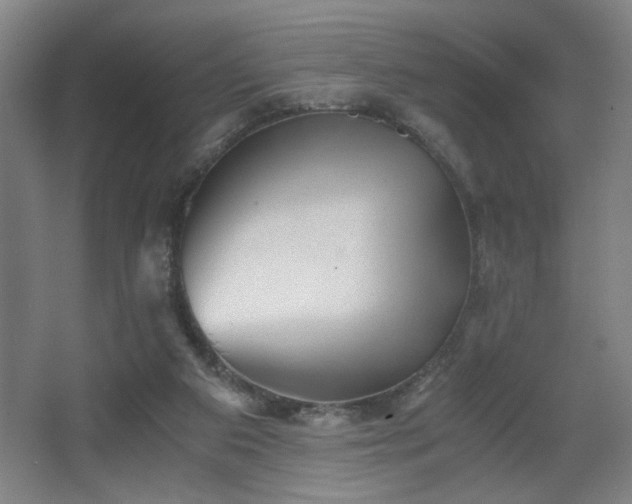 X0000068300113200604241347
