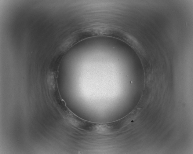 X0000068300121200604241347