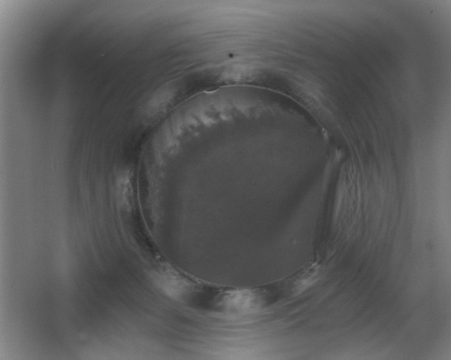 X0000068300127200604241347