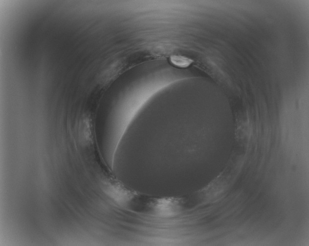 X0000068300130200604241347
