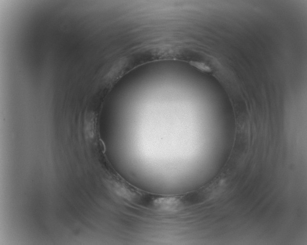 X0000068300133200604241347