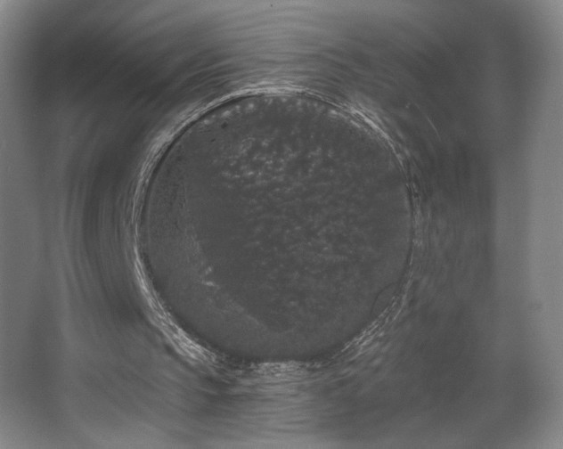 X0000068300145200604241346