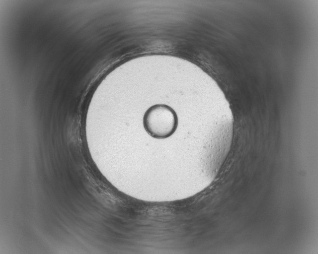 X0000068300146200604241346