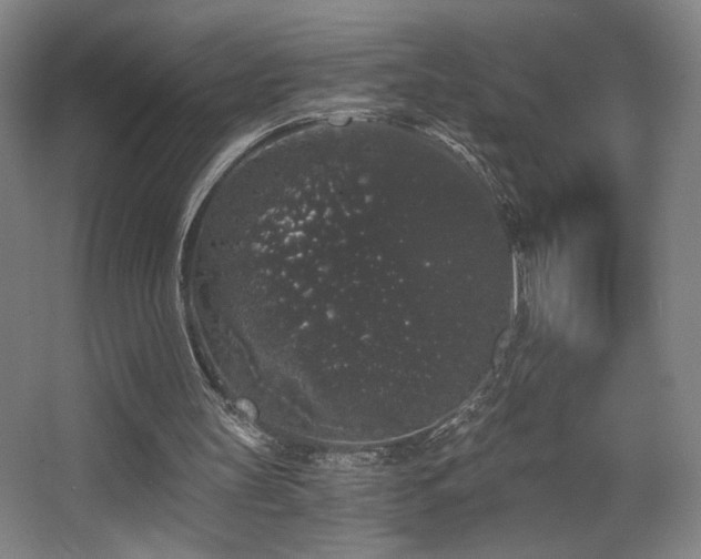 X0000068300147200604241346