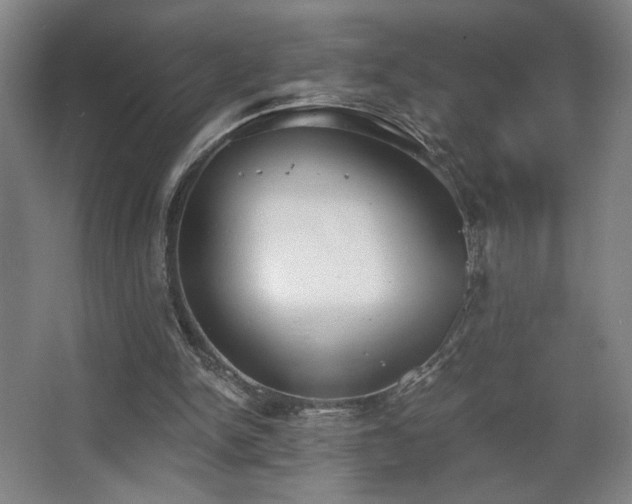 X0000068300150200604241346