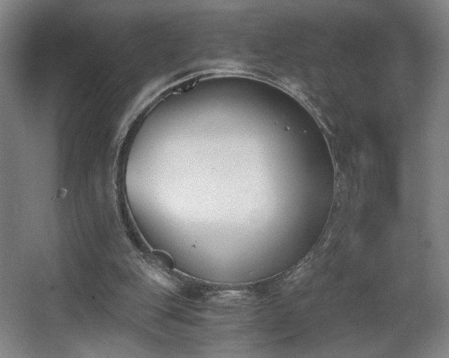 X0000068300151200604241346