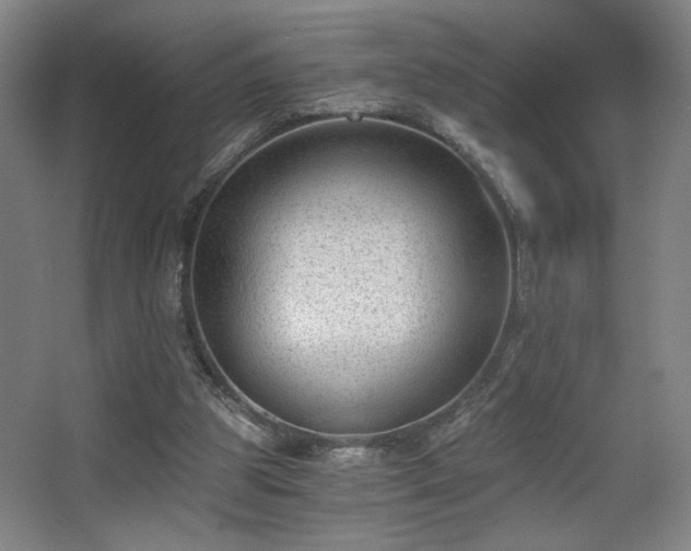 X0000068300153200604241346
