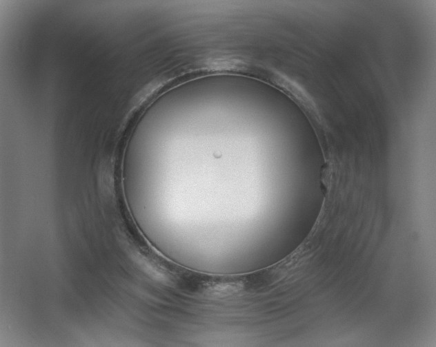 X0000068300155200604241346