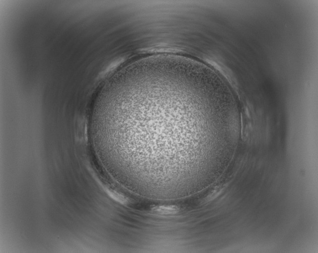X0000068300157200604241346