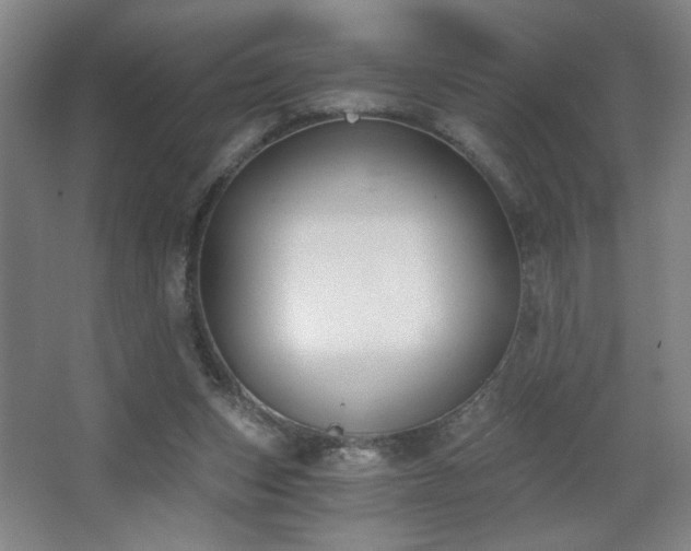 X0000068300159200604241346