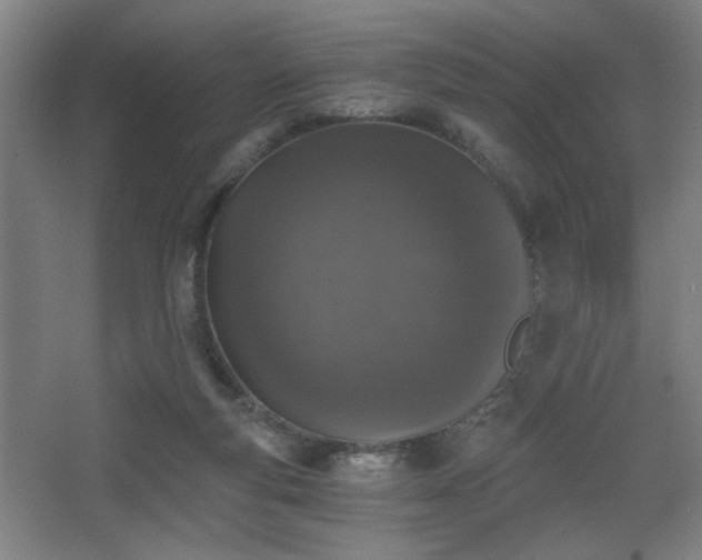 X0000068300163200604241346