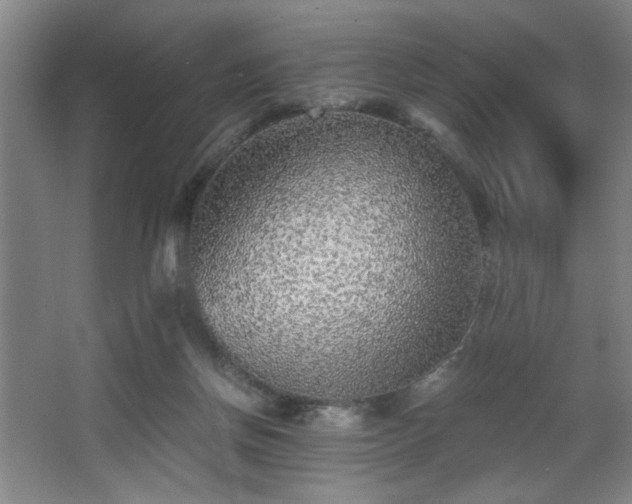 X0000068300166200604241346