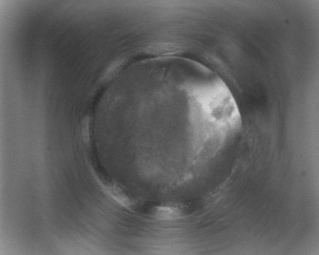 X0000068300167200604241346