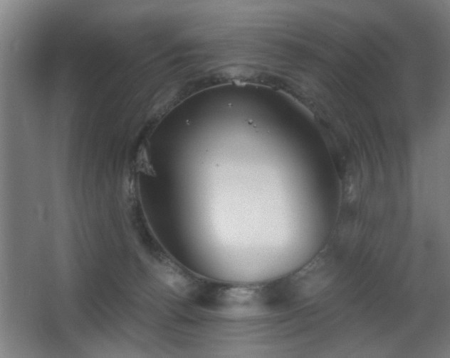 X0000068300176200604241346