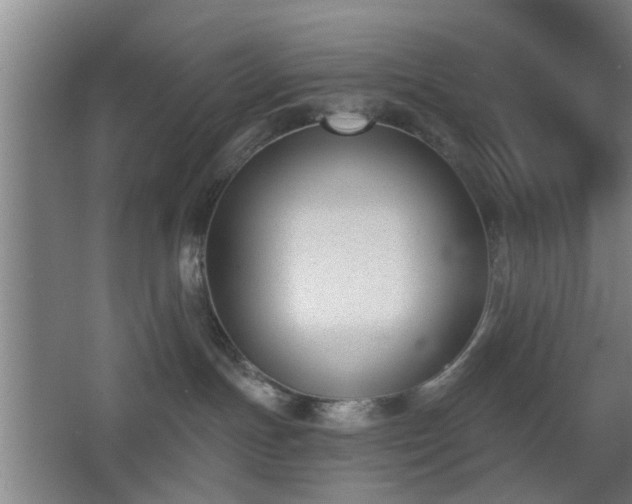X0000068300191200604241347