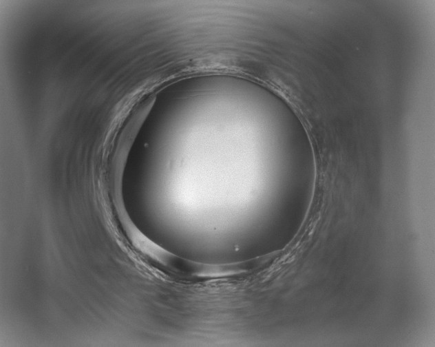 X0000068300193200604241346
