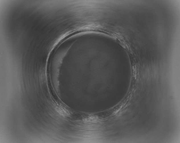 X0000068300196200604241346