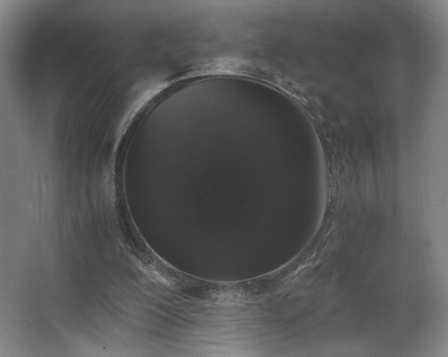 X0000068300200200604241346