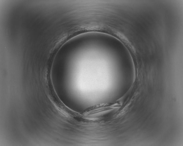 X0000068300201200604241346