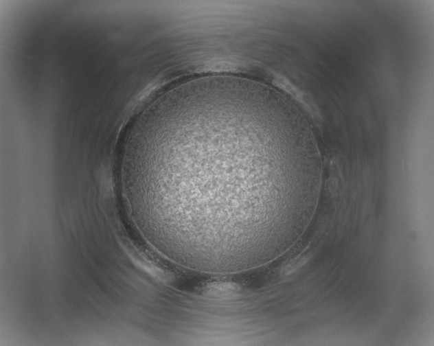 X0000068300203200604241346