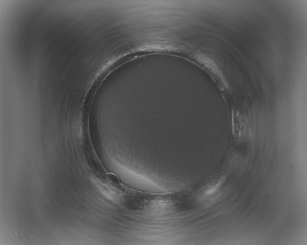X0000068300204200604241346