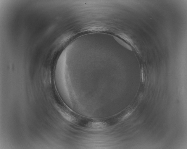 X0000068300205200604241346