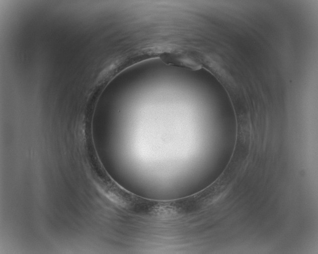 X0000068300207200604241346