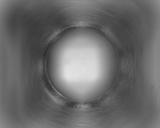 X0000068300208200604241346