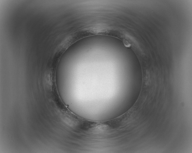 X0000068300210200604241346