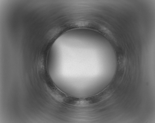 X0000068300212200604241346