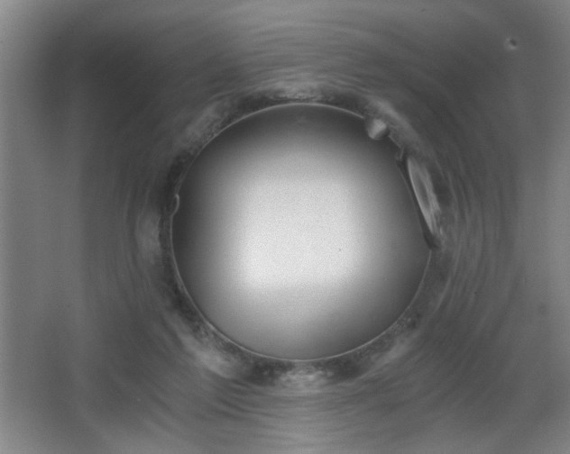 X0000068300213200604241346