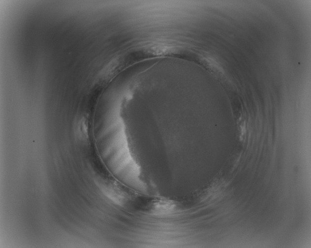 X0000068300214200604241346