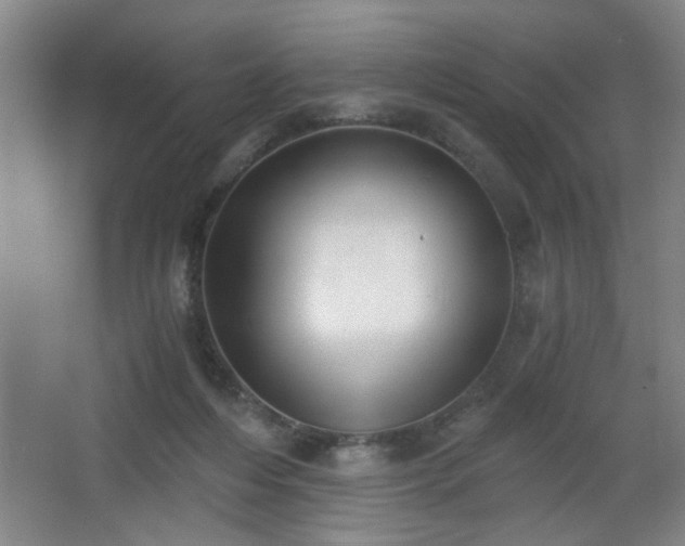 X0000068300216200604241345