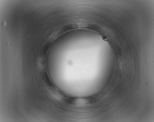 X0000068300218200604241345