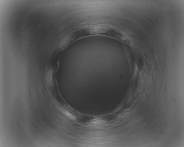 X0000068300219200604241345