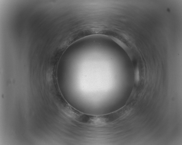X0000068300221200604241345