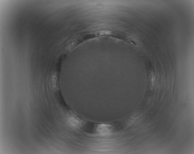 X0000068300222200604241345