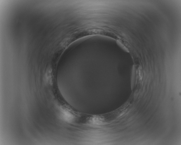 X0000068300223200604241345