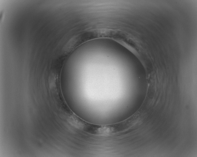 X0000068300225200604241345