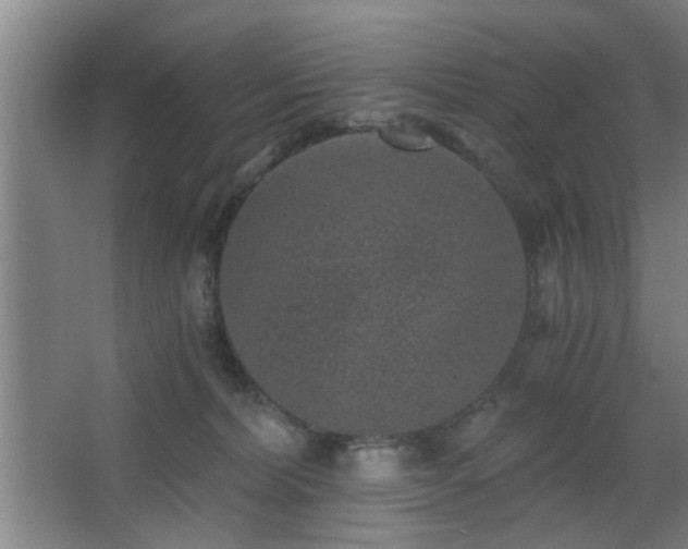 X0000068300228200604241345