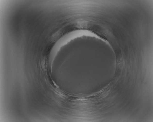 X0000068300233200604241345